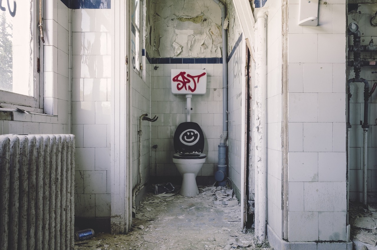 bathroom, dilapidated, disrepair